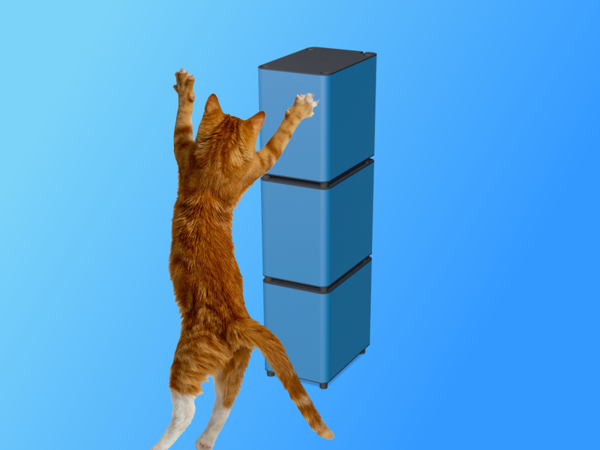 Revolta Natrium-Heimspeicher mit orangener Katze, die springt